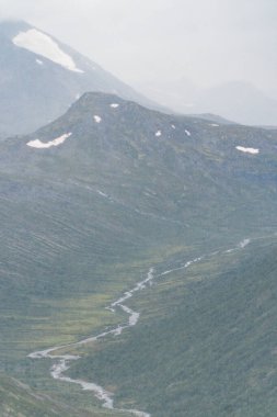 Yazın dağlarla ve ormanlarla Norveç manzarası