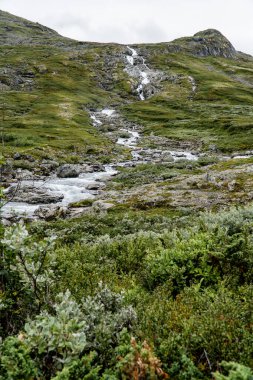 Norveç 'te yaz günü şelale