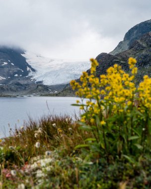 Göl ve dağlarla dolu güzel bir manzara.