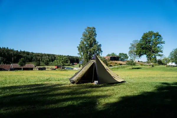 Ormandaki çimlerin üzerinde turist kamp çadırı
