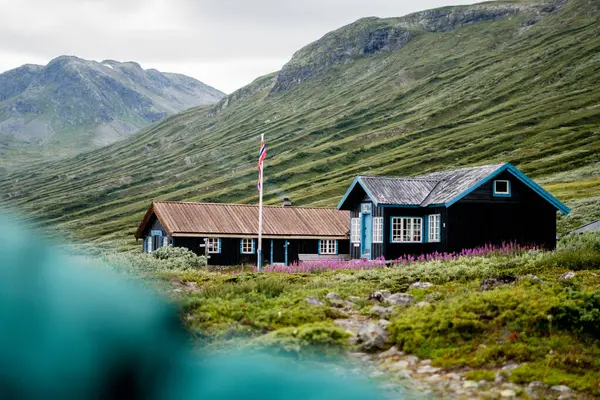Arka planda ev ve dağ olan Norveç manzarası.