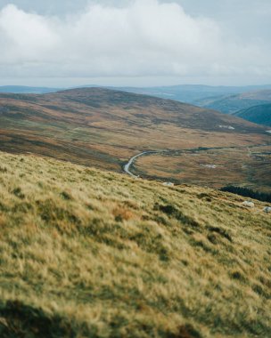 İçinden bir yol geçen güzel bir manzara. Yol yemyeşil bir tarla ile çevrili ve gökyüzü bulutlu.