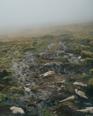 İçinden akarsu akan çamurlu bir arazi. Su bulanık ve çimenler ıslak. Sahne ıssız ve sessiz, yaşam belirtisi yok. Sahne kasvetli ve melankoliktir