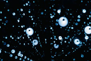 Bokeh ışıkları ile soyut arkaplan