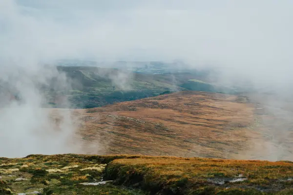 Arka planda tepe olan sisli, sisli bir gün. Tepe çimlerle ve ağaçlarla kaplı.
