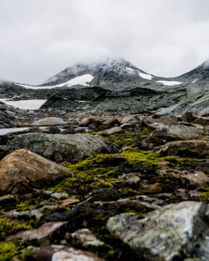 Norveç dağlarının güzel manzarası