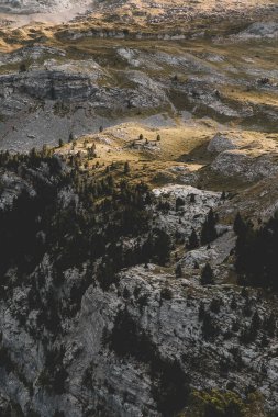 Bir dağ ve bir ağaç ile dağ manzarası