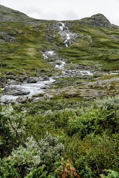 Norveç 'teki dağ şelalesi