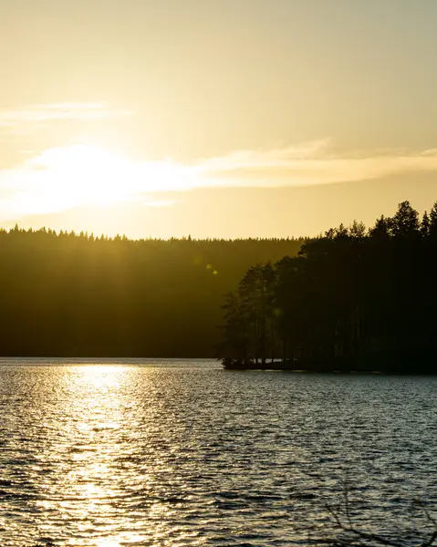 Gün batımının yansımasıyla ormanın ve gölün güzel manzarası.