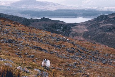 Göllü dağların güzel bir görüntüsü.