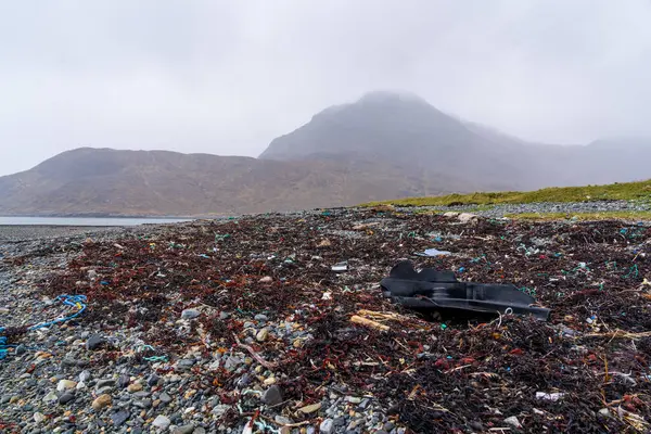 Kuzey Denizi adasının kıyısında.
