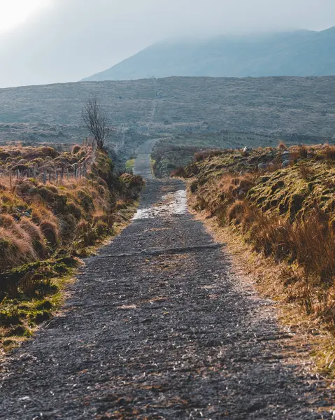 Sonbaharda dağın zirvesine giden yol.