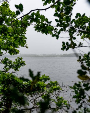 Ormanın ortasında yeşilliklerle çevrili bir gölün dikey görüntüsü.