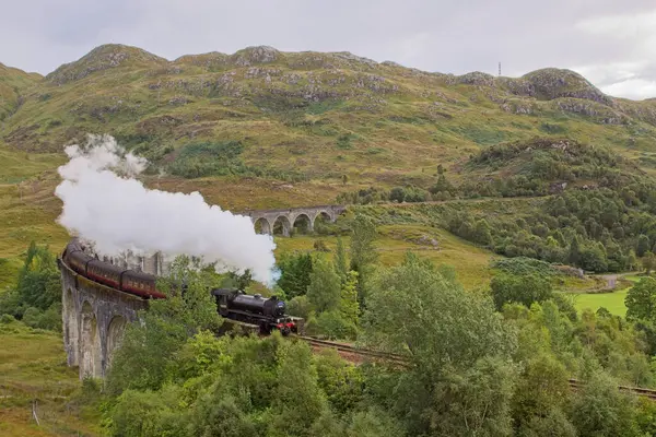 Jakobit buharlı treni, İskoçya 'daki yemyeşil tepelerle çevrili ikonik Glenfinnan Viyadük' ünden geçiyor..