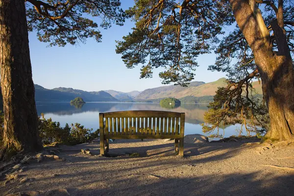 Ağaçlar tarafından çerçevelenmiş sakin bir göl sahnesi, açık bir günde suya bakan ahşap bir bank ve uzak dağlara bakıyor..