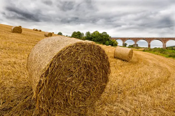 Güzel bir manzara saman tarlasını sergiliyor dramatik bulutlu bir gökyüzünün altında, arkasında bir köprü olan saman balyalarıyla.