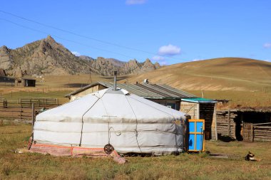 Gorkhi-Terelj Ulusal Parkı, Moğolistan 'da geleneksel bir Yurt veya Ger.