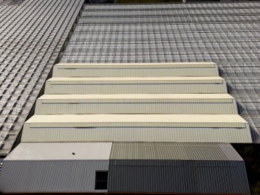 Hollanda, de Lier 'deki seraların hava manzarası