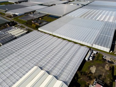 Hollanda, de Lier 'deki seraların hava manzarası