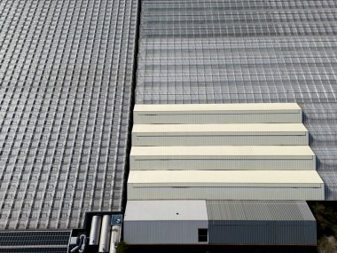 Hollanda, de Lier 'deki seraların hava manzarası