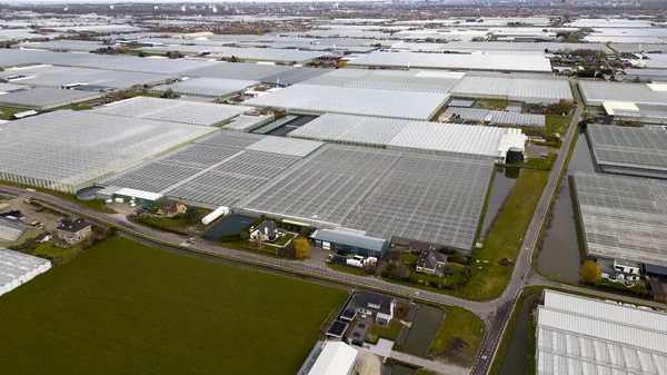 Aerial View Greenhouses Lier Holland — Stock Photo, Image