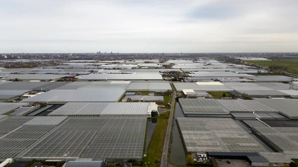 Aerial View Greenhouses Lier Holland — Stock Photo, Image