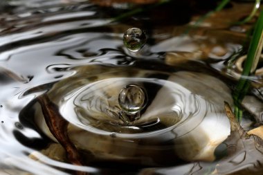 Doğal bir ortamda yağan yağmur damlasının makrosu