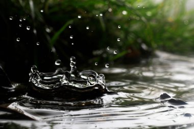 Doğal bir ortamda yağan yağmur damlasının makrosu