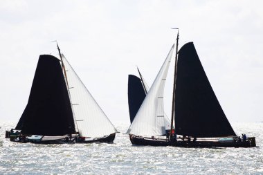 Traditional, flat-bottomed Frisian sailing ships in a yearly competition on the Ijsselmeer, The Netherlands clipart