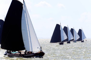 Geleneksel, düz tabanlı Frizya yelkenlileri Ijsselmeer, Hollanda 'da her yıl yapılan bir yarışmada