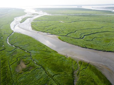 Aerial view of tidal channels and gullies, Saeftinge, The Netherlands clipart