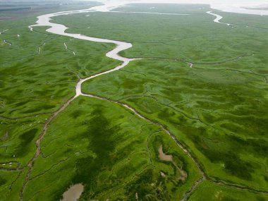 Gelgit kanallarının ve derelerin havadan görünüşü, Saeftinge, Hollanda