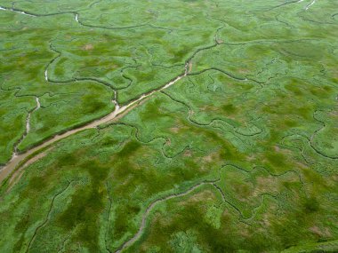 Gelgit kanallarının ve derelerin havadan görünüşü, Saeftinge, Hollanda
