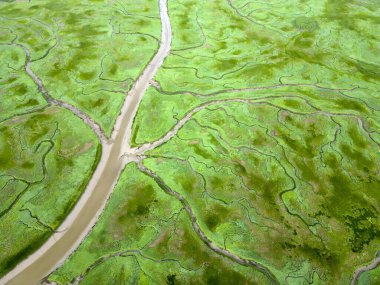 Aerial view of tidal channels and gullies, Saeftinge, The Netherlands clipart