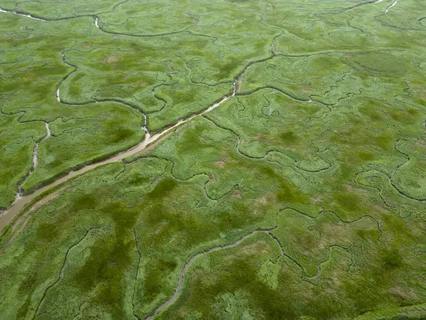 Gelgit kanallarının ve derelerin havadan görünüşü, Saeftinge, Hollanda