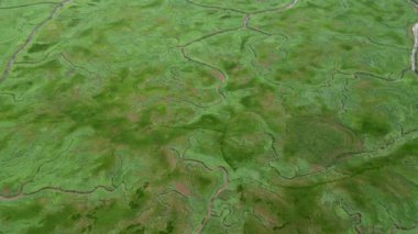 Gelgit kanallarının ve derelerin havadan görünüşü, Saeftinge, Hollanda