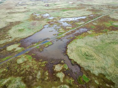 Boschplaat, Terschelling-West, Hollanda 'nın giriş ve akarsularının havadan görünüşü