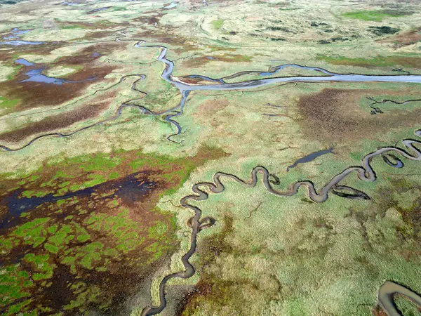 Boschplaat, Terschelling-West, Hollanda 'nın giriş ve akarsularının havadan görünüşü