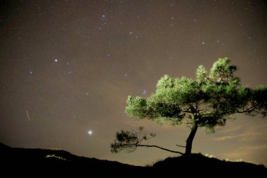 Night sky at the Boschplaat, Terschelling, The Netherlands clipart