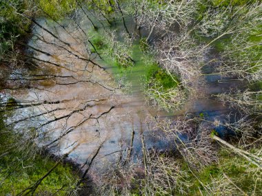 Aerial view of high groundwater levels due to frequent rain in the Kennemerdunes, North Holland, The Netherlands clipart