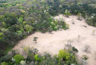 Aerial view of trees and dunes in the Kennemerdunes, North Holland, The Netherlands clipart