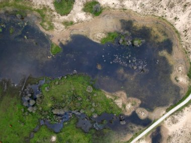 Kennedy kumulları, Kuzey Hollanda, Hollanda ve Hollanda 'da sık sık yağan yağmurdan kaynaklanan yüksek yeraltı suyu seviyelerinin hava görüntüsü