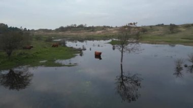 Kennedy Tepeleri, Kuzey Hollanda, Hollanda, Hollanda 'daki İskoç dağlılarının hava manzarası