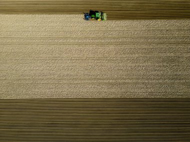 Gün batımında bir patates tarlasında makinenin hava görüntüsü, Hollanda