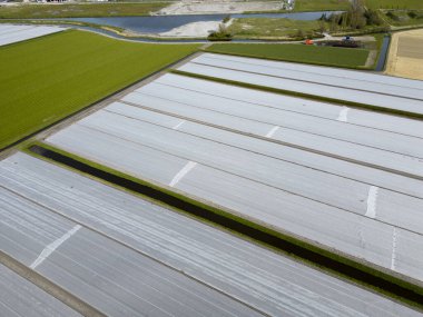 Kuşkonmaz tarlalarını kaplayan plastik çarşafların havadan görünüşü, Hollanda