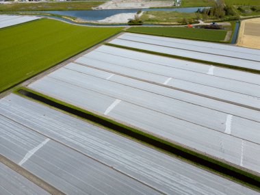 Aerial view of plastic sheets covering asparagus fields, The Netherlands clipart