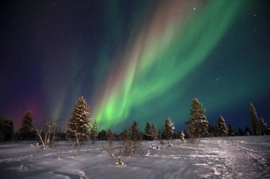 Kuzey Finlandiya, Kiilopaa 'da Aurora Borealis görüldü