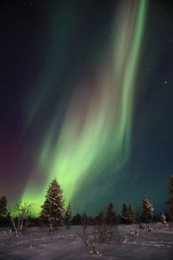 Kuzey Finlandiya, Kiilopaa 'da Aurora Borealis görüldü