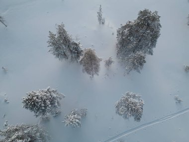 Aurora Borealis Kuzey Finlandiya 'daki Inari gölünde görüldü.