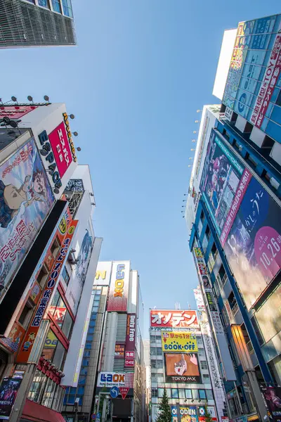 Akihabara 'nın Renkleri